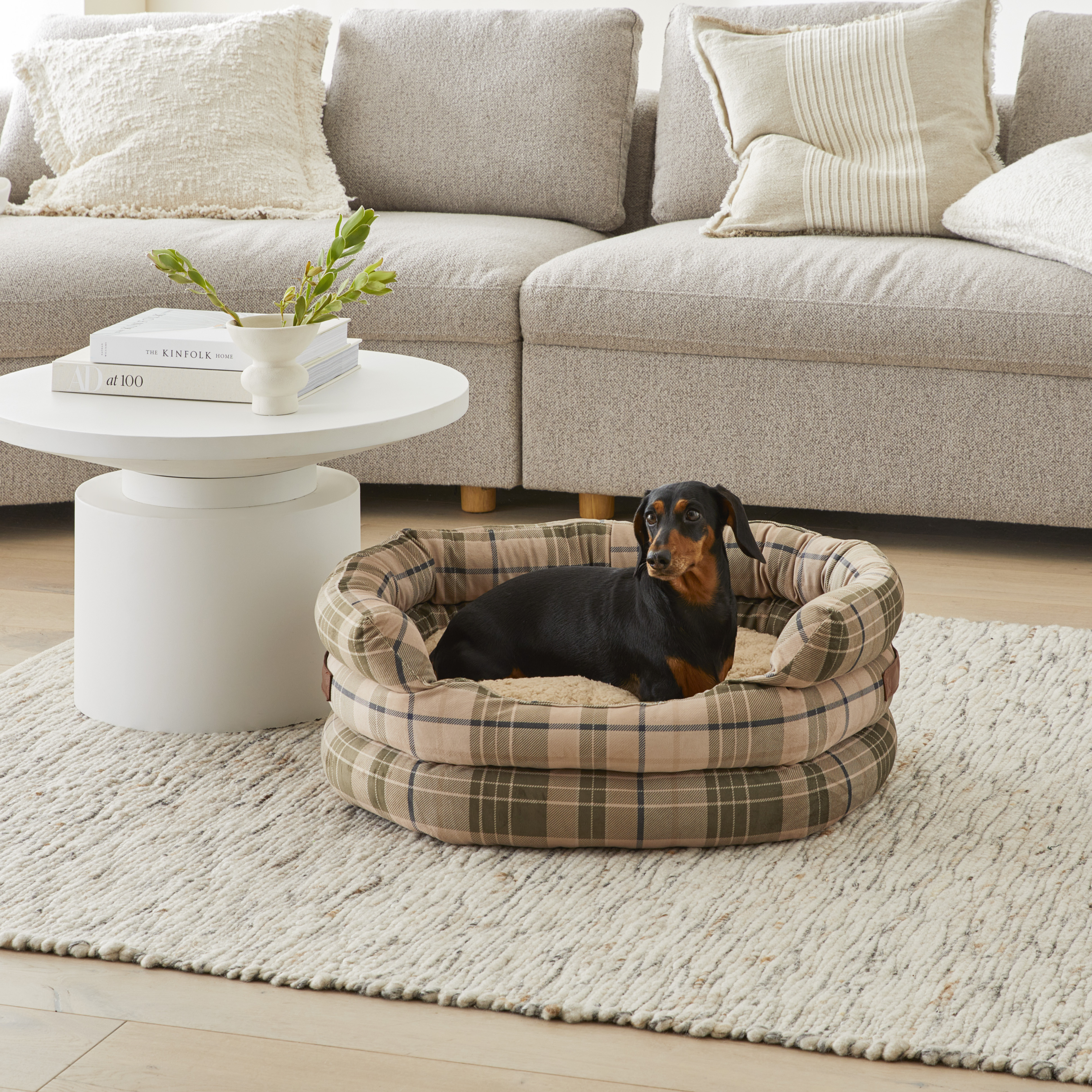Dog bed sale crate and barrel