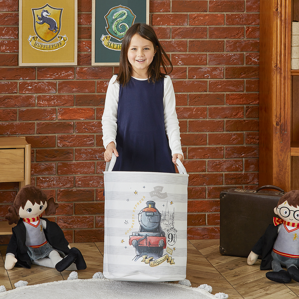 Warner Bros Harry Potter Hogwarts Express Printed Basket | Adairs