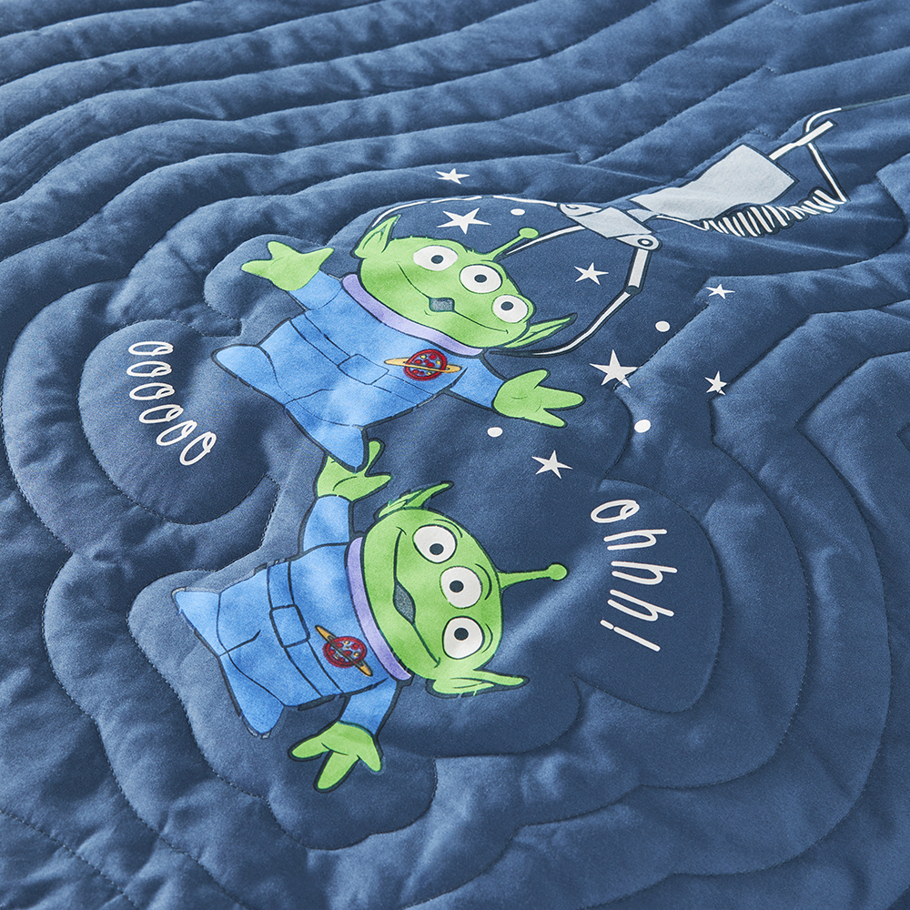 Toy story quilt deals cover set