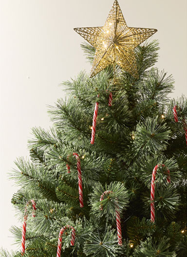Xmas25_Hub_CatTiles - 1 Trees & Wreaths_DT.jpg