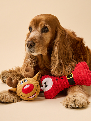 Xmas25_Hub_GiftTiles - 2 Pets_MB.jpg