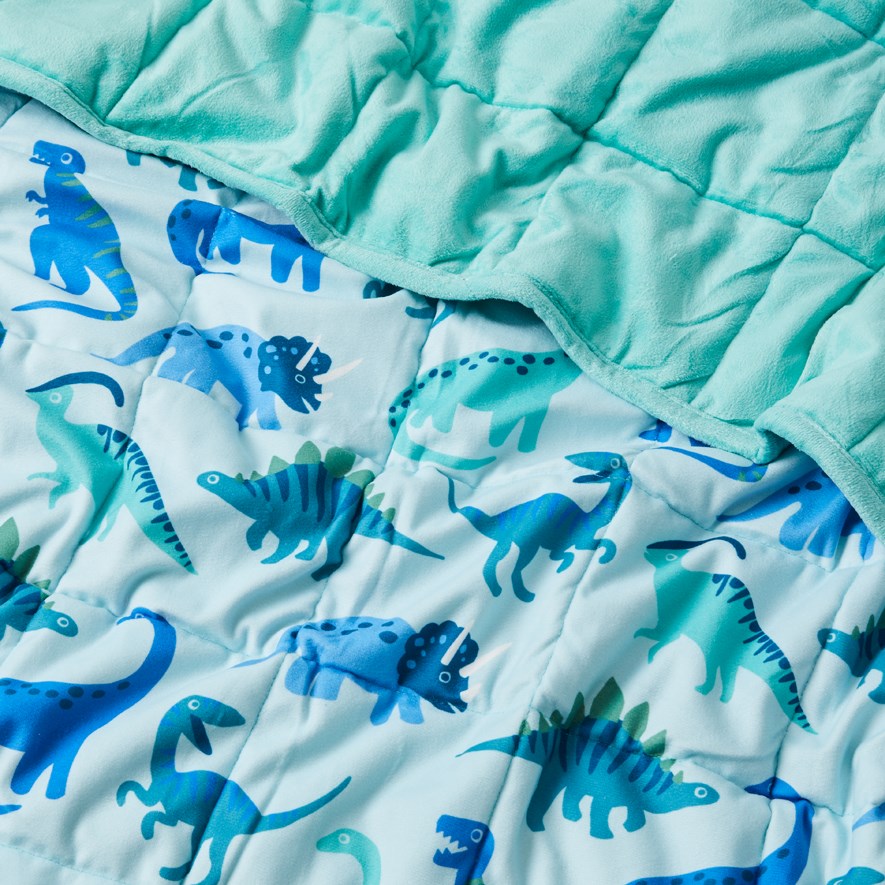 Printed Happy Dinosaurs Weighted Blanket Adairs