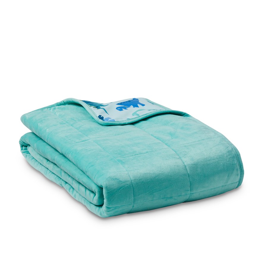Printed Happy Dinosaurs Weighted Blanket Adairs