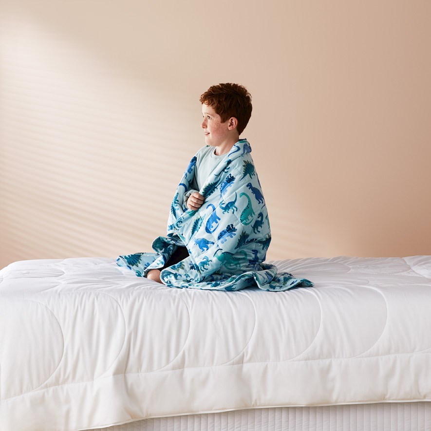 Printed Happy Dinosaurs Weighted Blanket Adairs