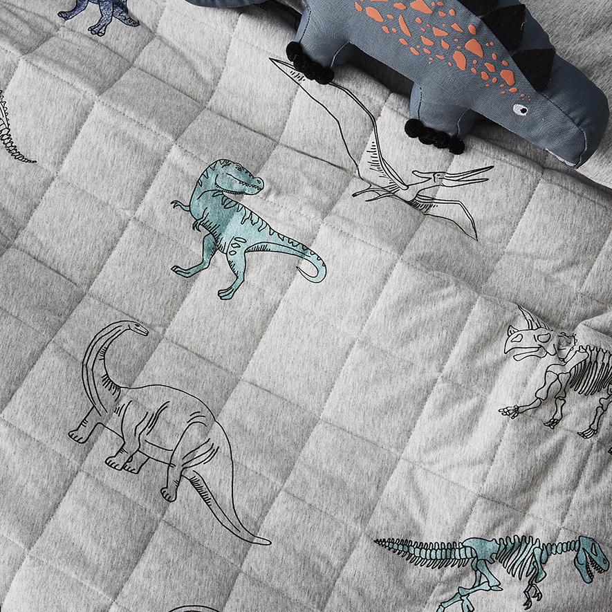Max studio top dinosaur bedding
