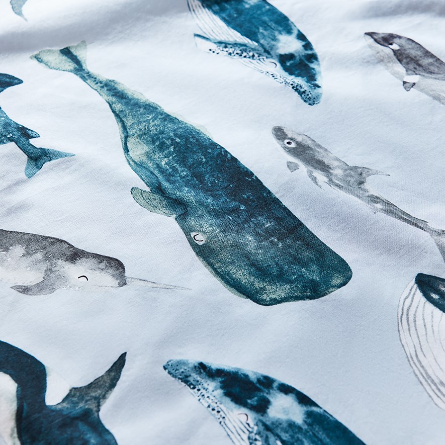 Whale Watching Stonewashed Duck Egg Blue Quilt Cover Set Adairs
