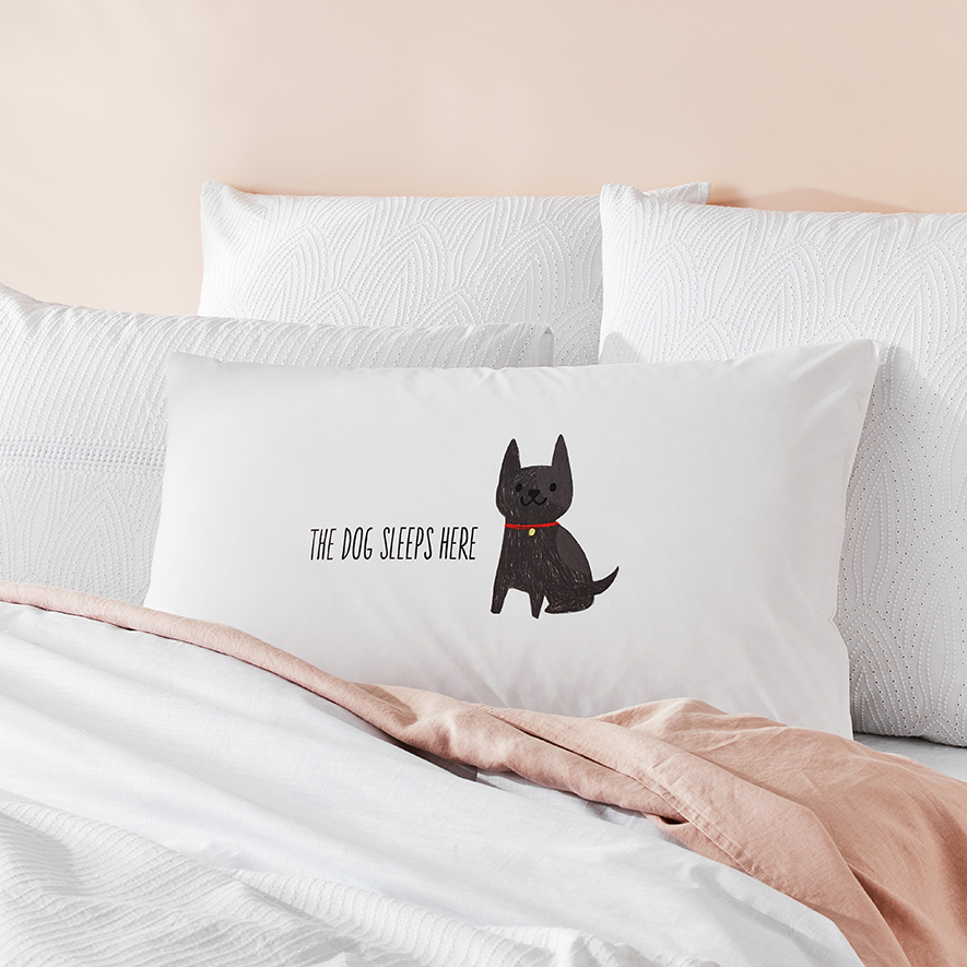 Home Republic The Dog Sleeps Here Text Pillowcase Adairs