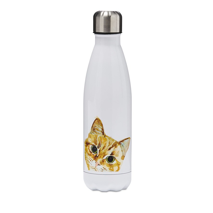 Cat drink bottle cheap