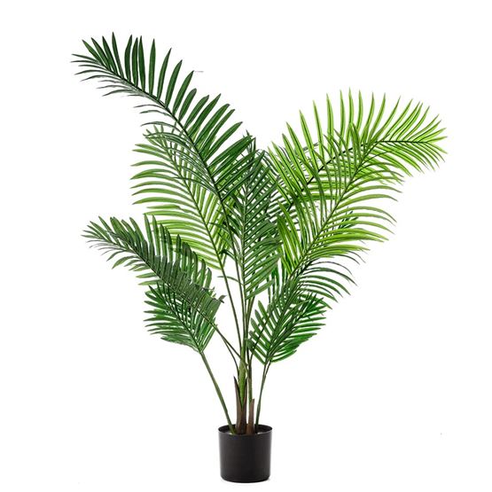 Areca Palm Potted Plant