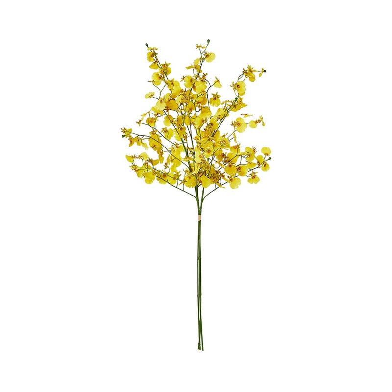 Yellow Dancing Orchids Spring Stems