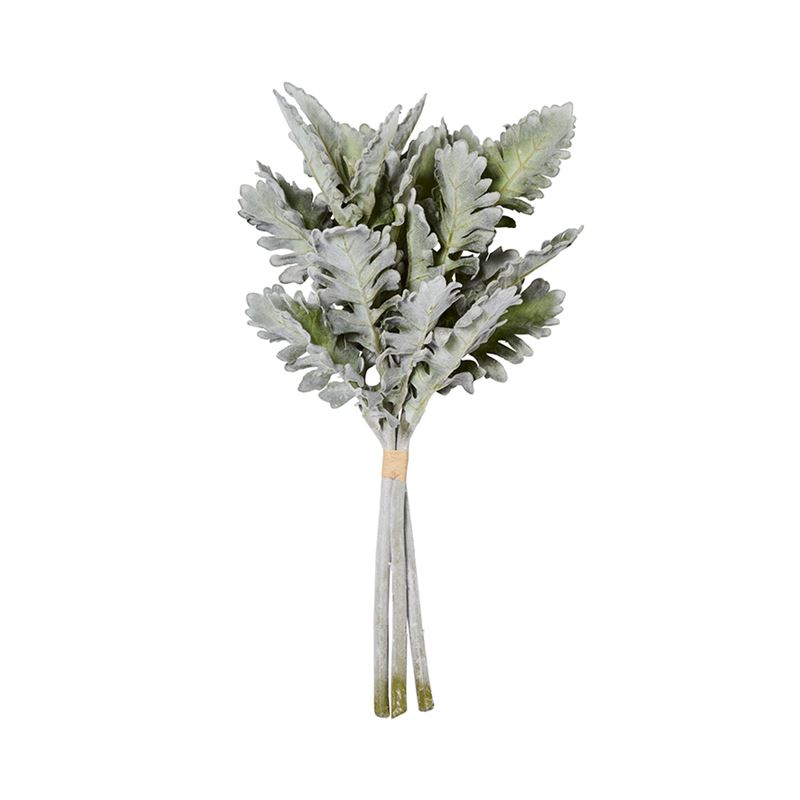 Spring Small Cineraria Leaf Silver Stem