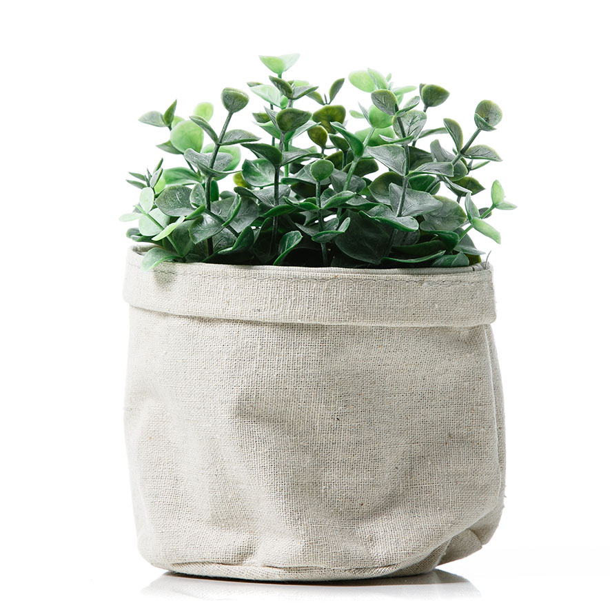 Eucalyptus Leaves in Hessian Pot Adairs