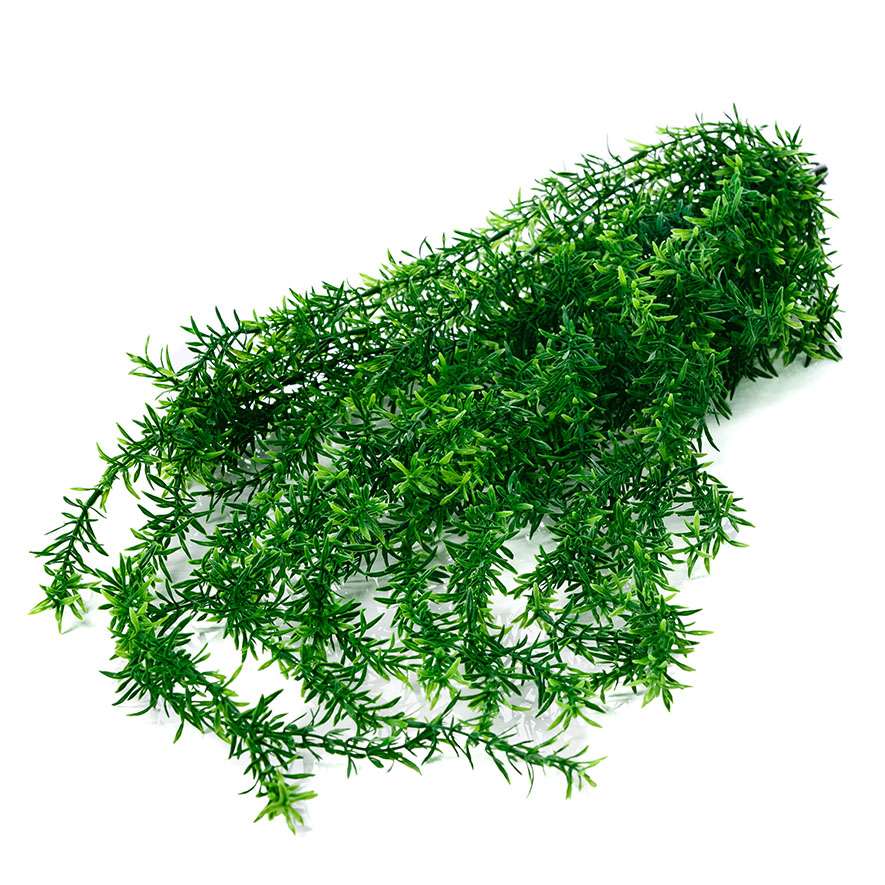 Asparagus Fern Hanging Plant Adairs