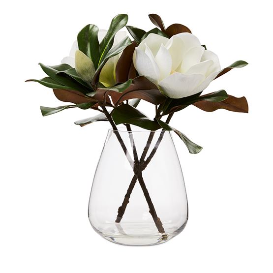 Flowers In Water Bloomed White Magnolia
