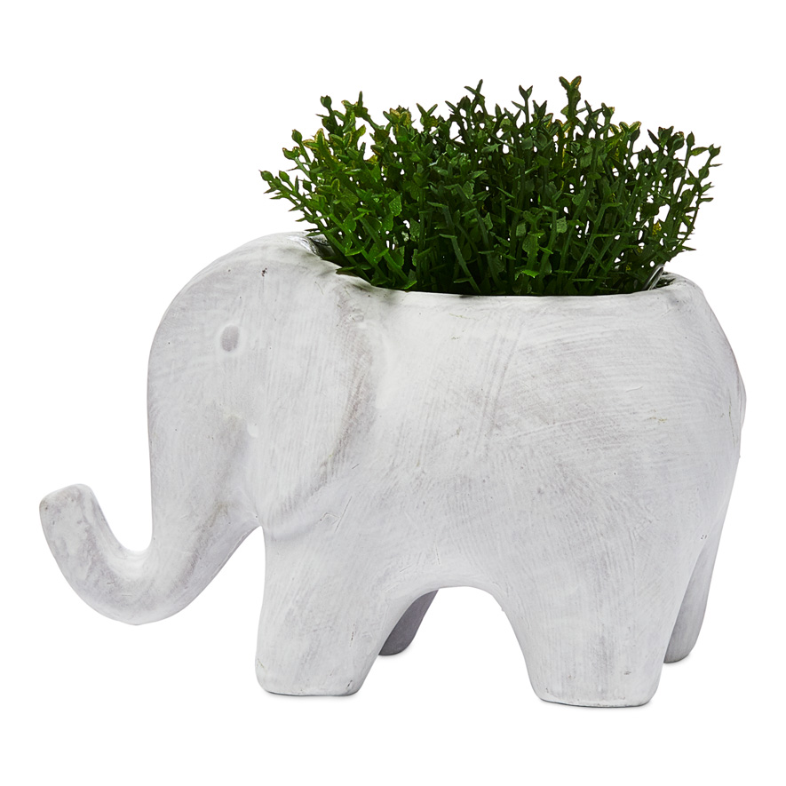 Animal Potted Elephant Grey Succulent Adairs