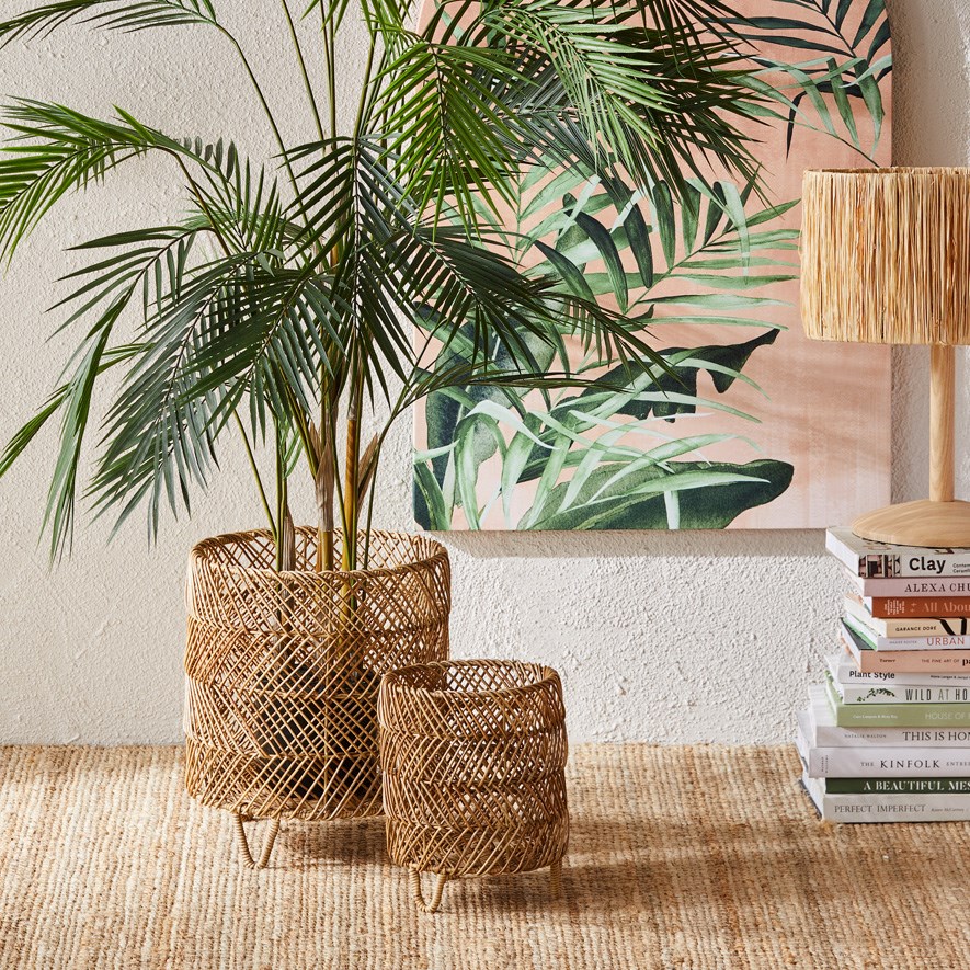 Sumatra Natural Plant Stand Adairs