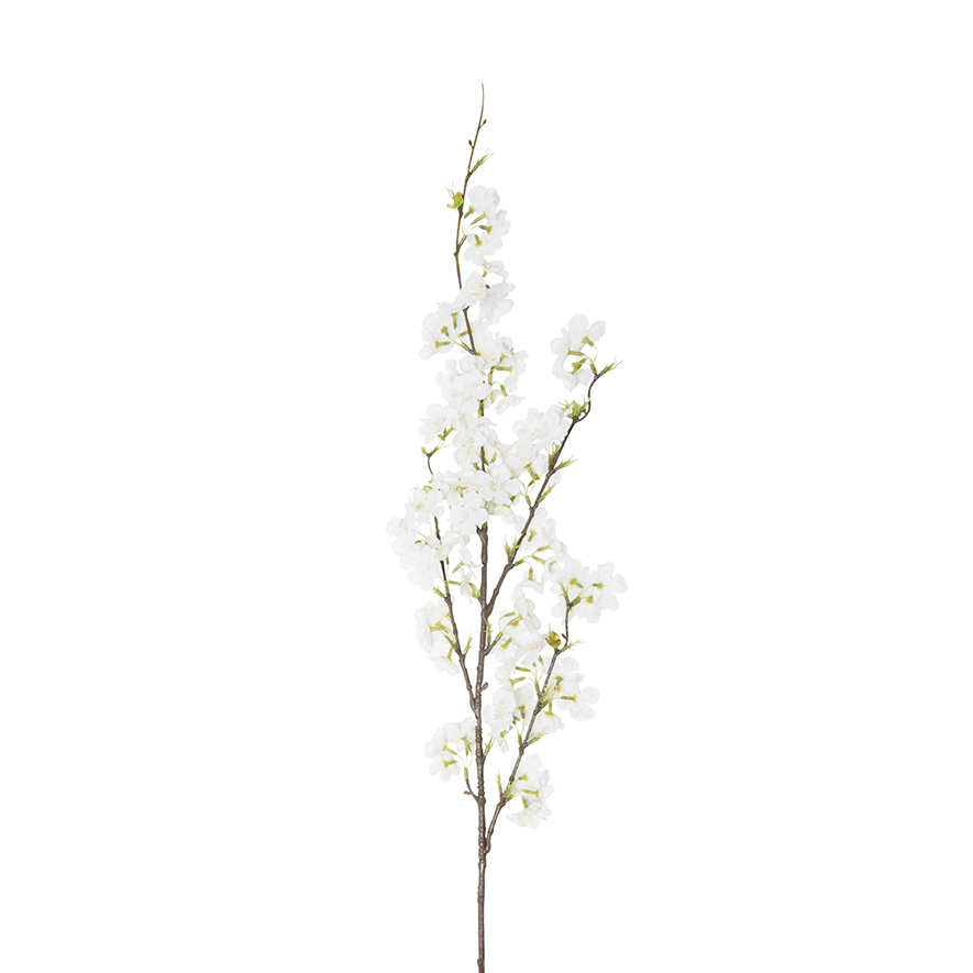 Spring Stems Cherry Blossom White Adairs