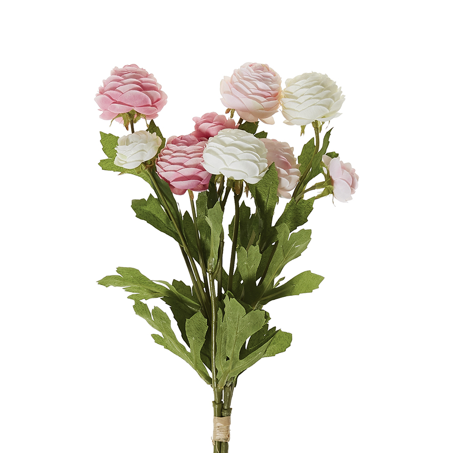 Spring Stems Ranunculus Pink | Adairs