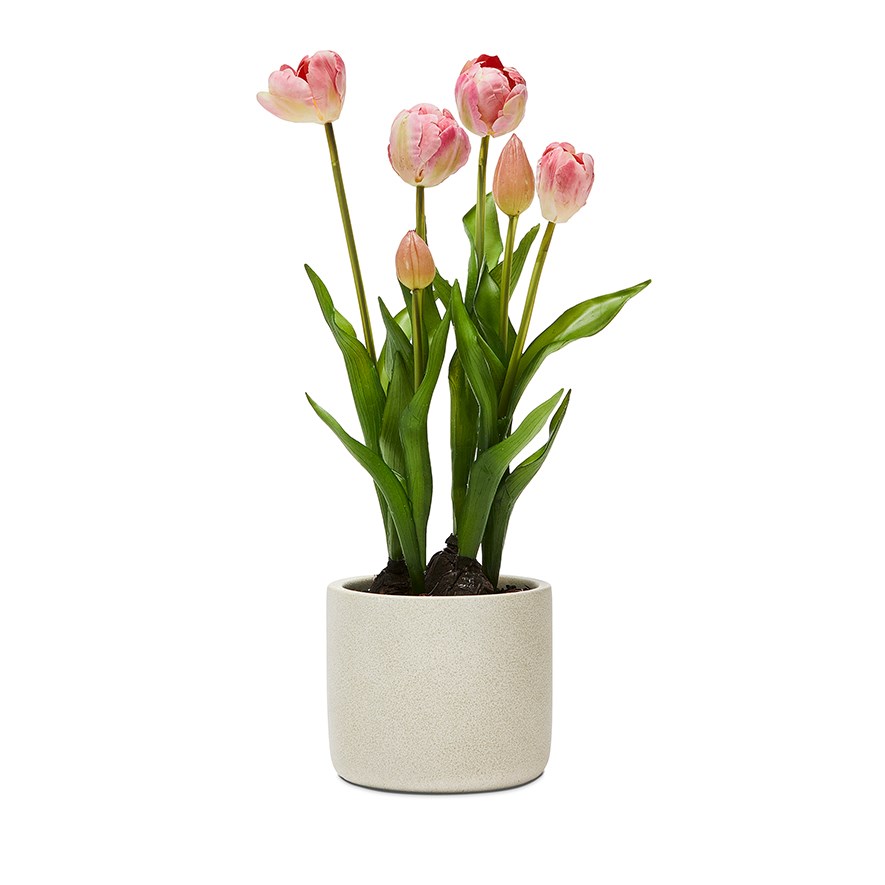 Light Pink Tulip Collection Adairs