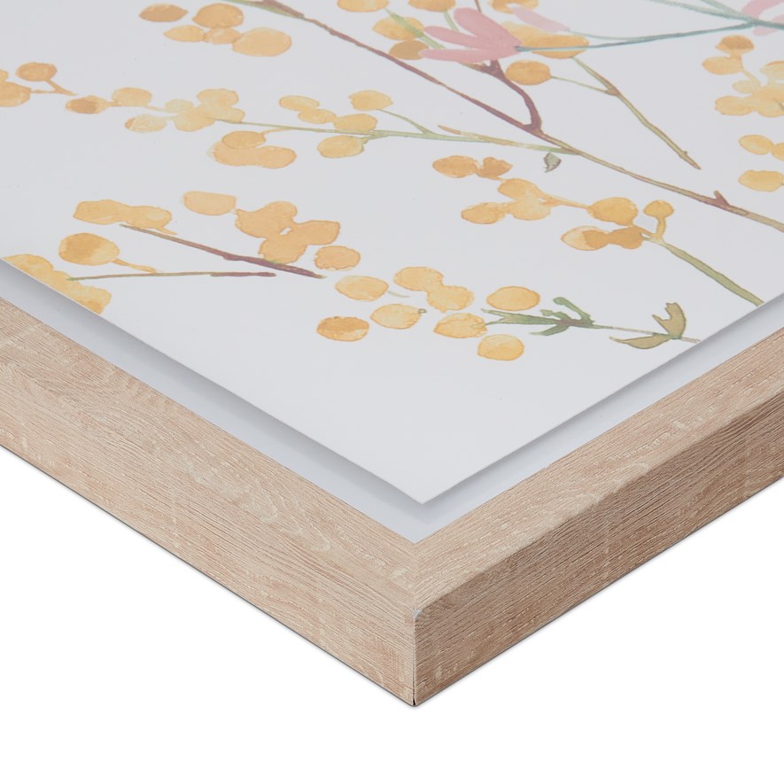 Native Garden Saffron Kangaroo Paw Wall Art Adairs