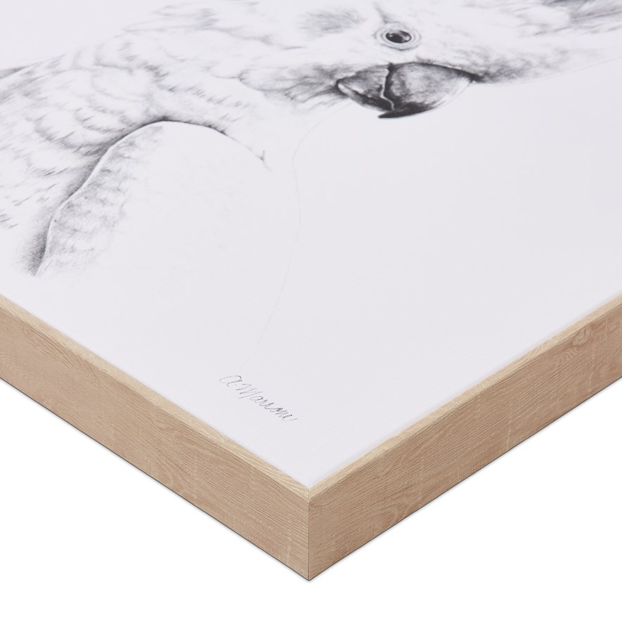 Anna Marrone Native Graphite Cockatoo Wall Art Adairs