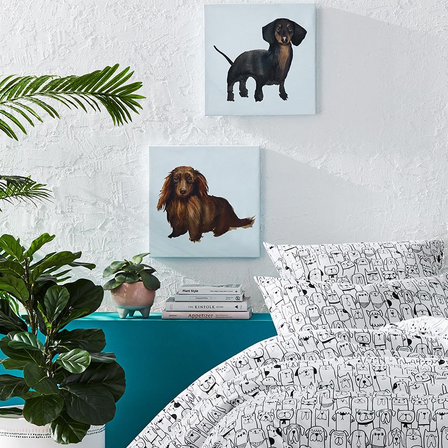 Set 2 Canvas Sky Dachshunds 40x40 Adairs